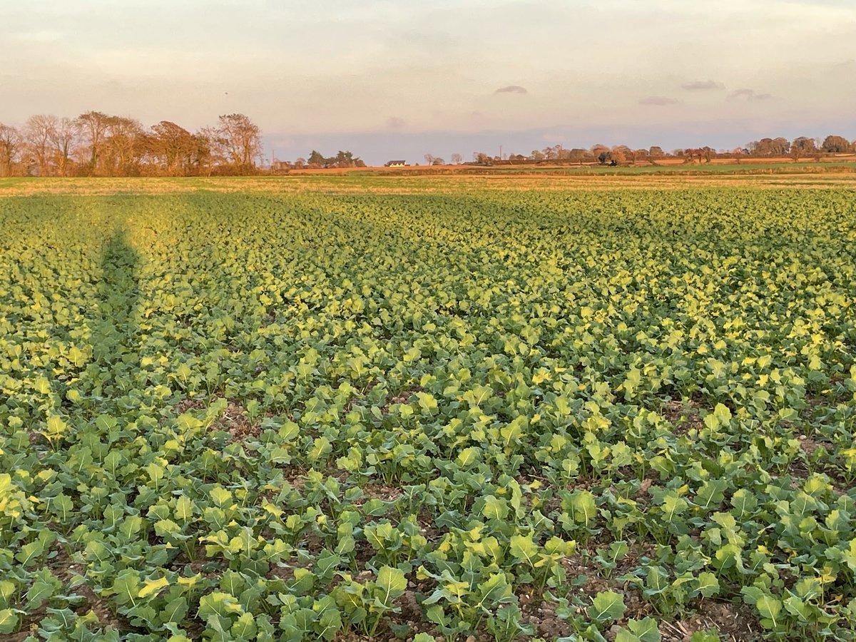 John Dunne tweet media