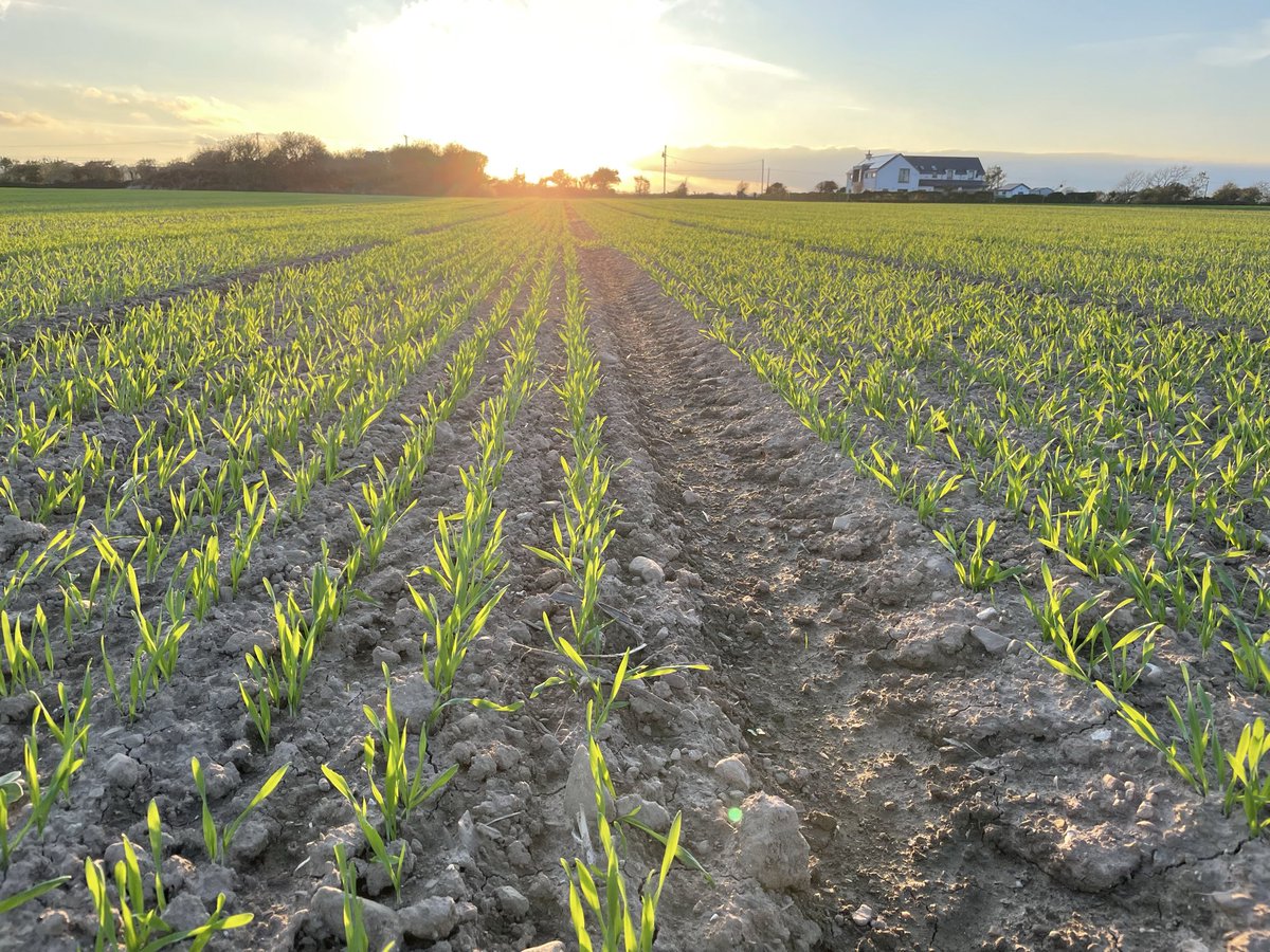 John Dunne tweet media