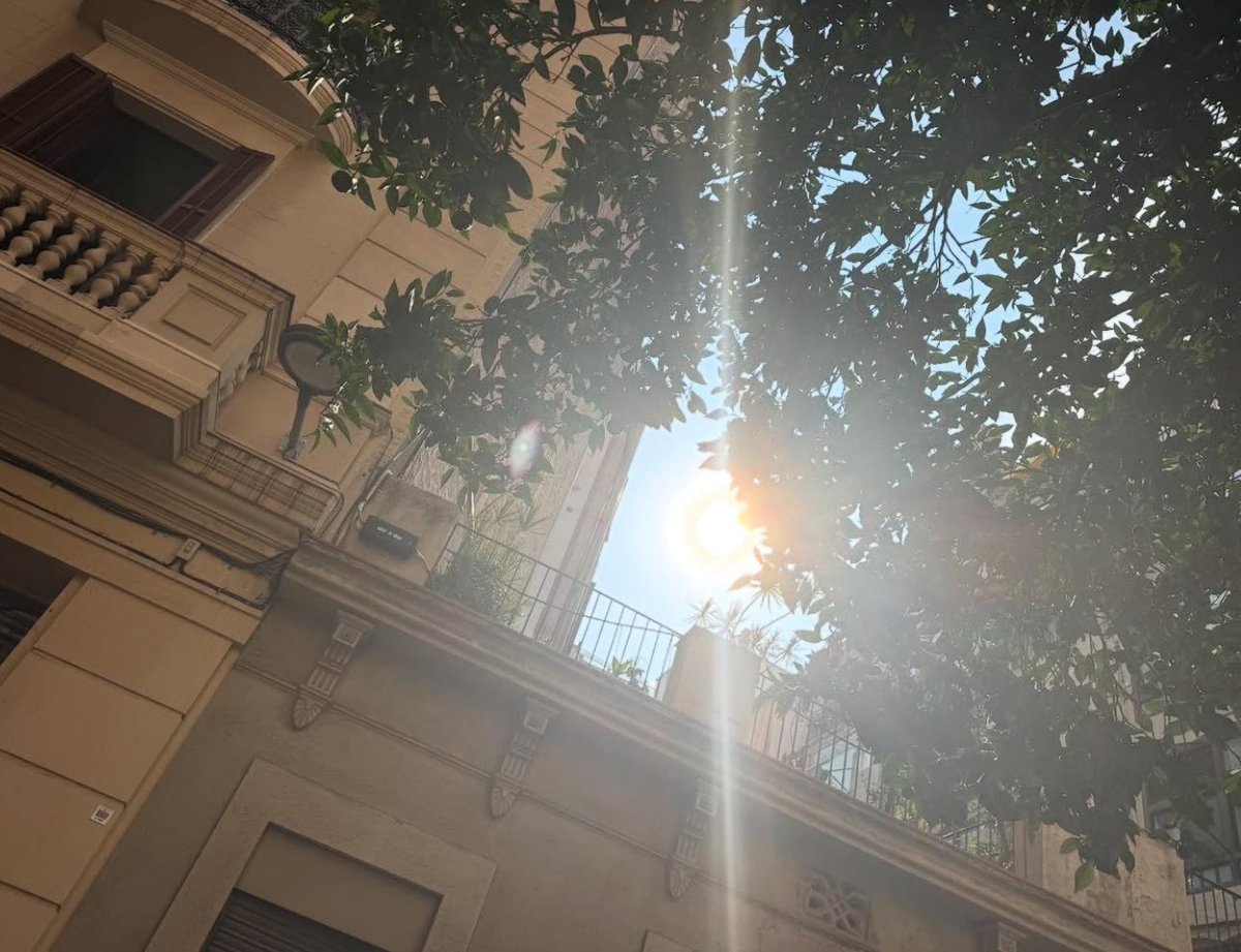 40sbonet's tweet image. "me gusta que digas esto de mucho sol porque el disco tiene relación con el sol"
"📀🌄🫣 #inprogress" 👀