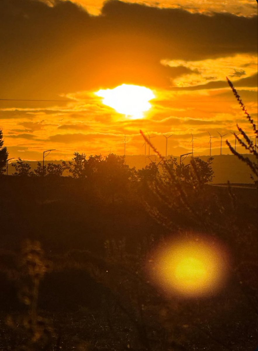 40sbonet's tweet image. "me gusta que digas esto de mucho sol porque el disco tiene relación con el sol"
"📀🌄🫣 #inprogress" 👀