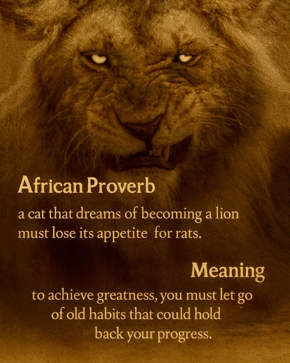 Mind Essentials (@mind_essentials) on Twitter photo 