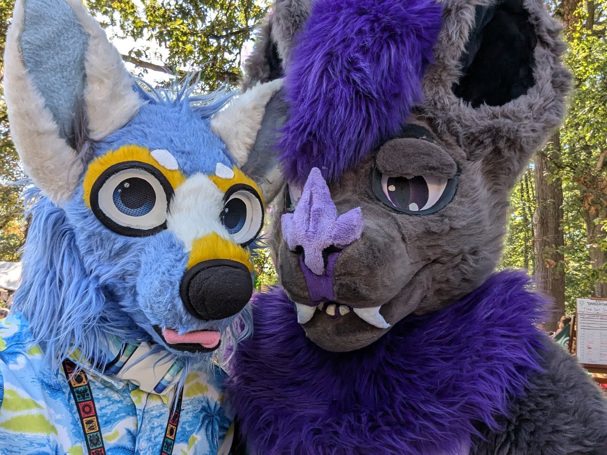 Zororeo! 🪽 tweet media