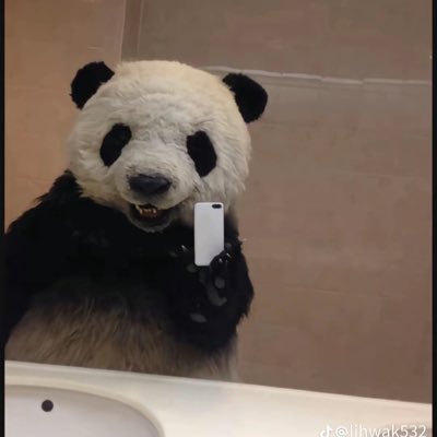 squezejf tweet media