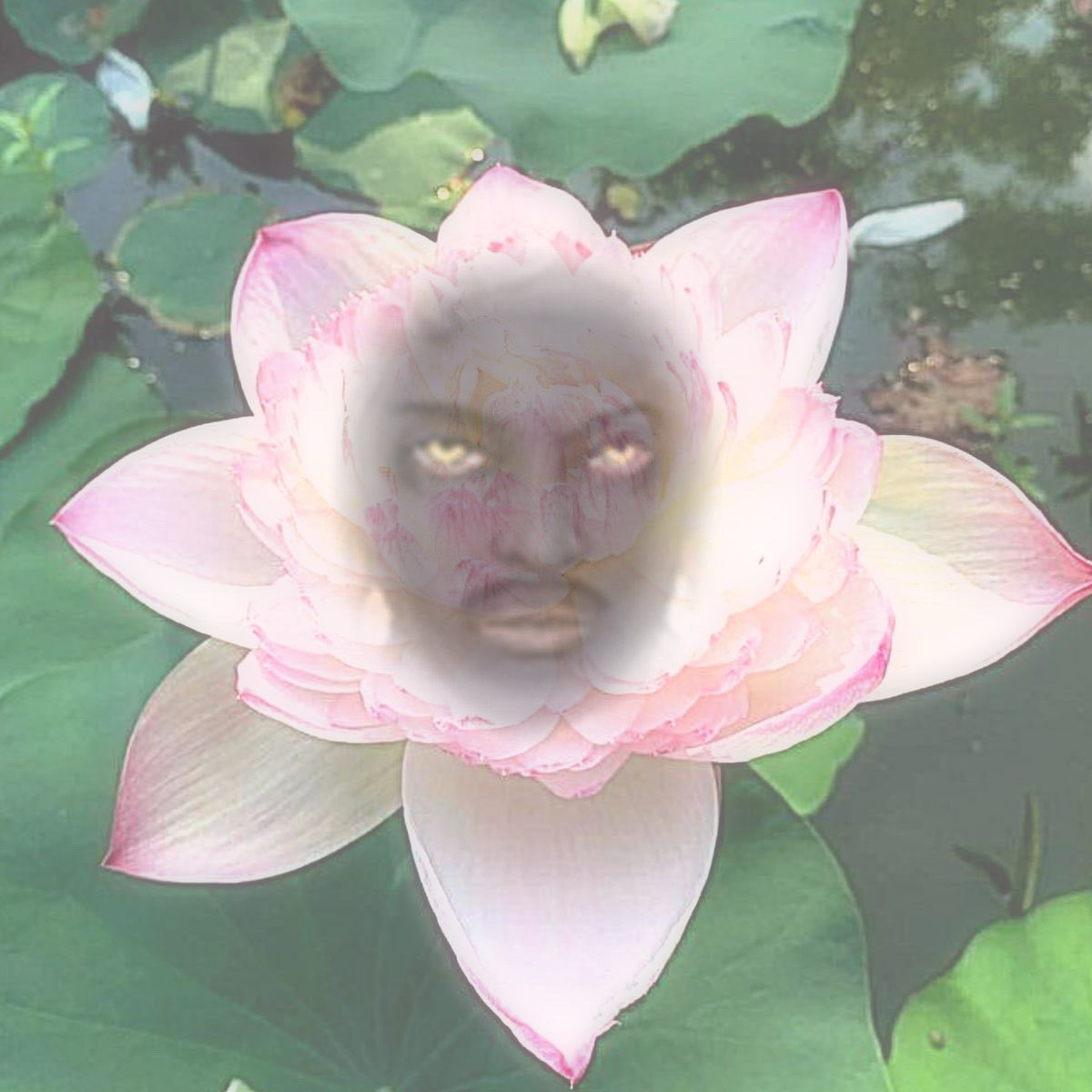 When my huzz when my huzz when my huzz when my huzz #fearandhungertermina