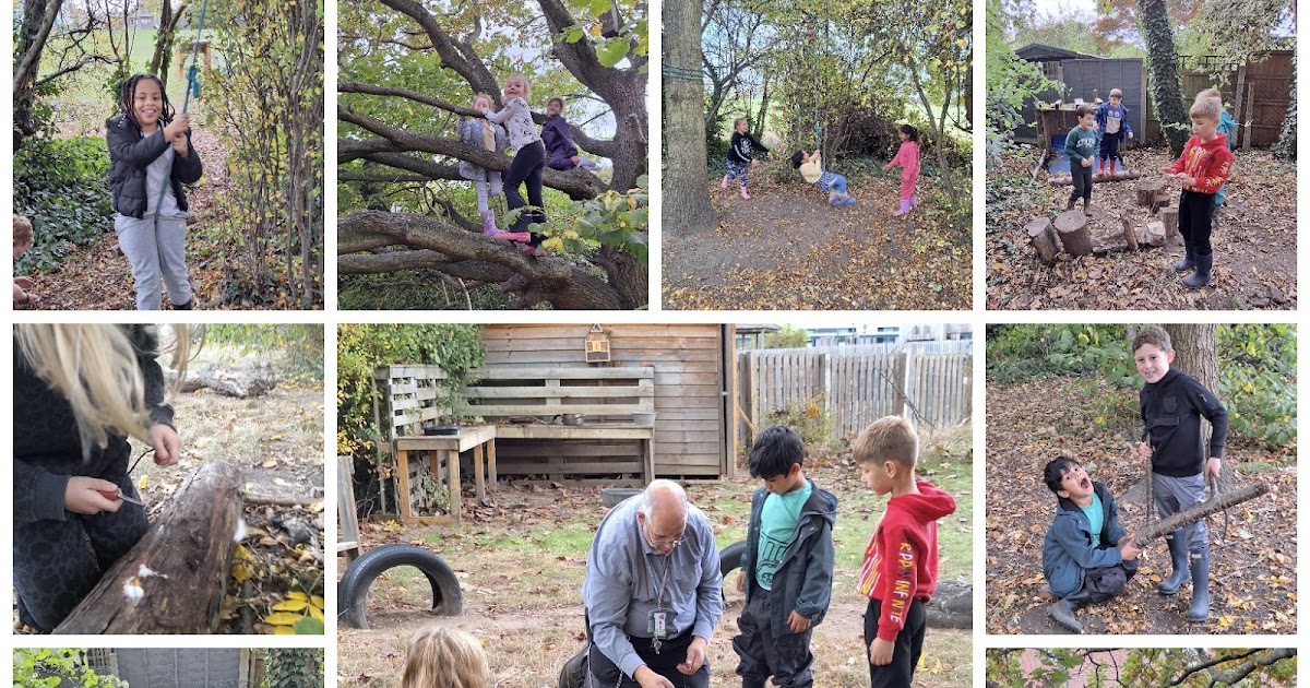 Hacton Primary tweet media