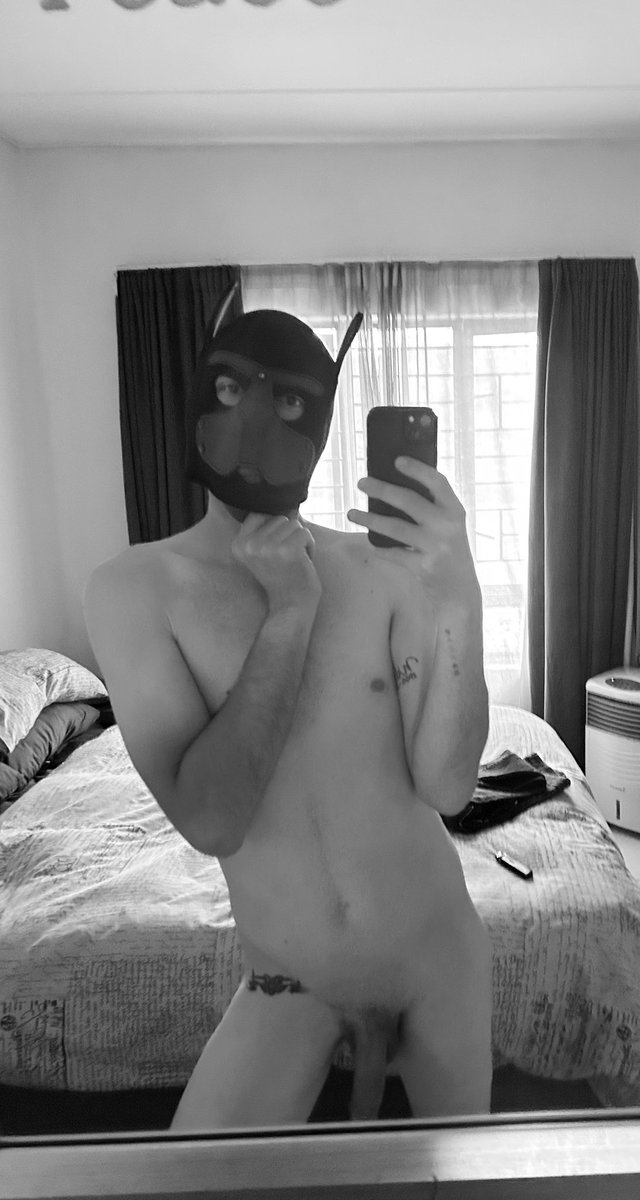 PupSprout92's tweet photo. Sprout needs a Handler/Alpha, Any volunteers 🇿🇦 https://t.co/pUZ7MsssuQ