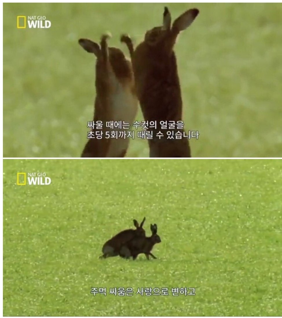 그러하다