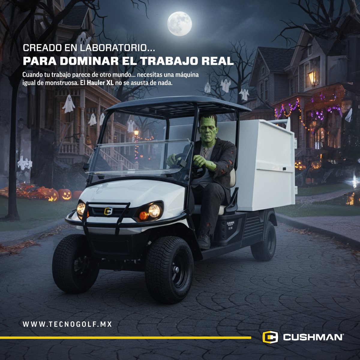 Tecnogolf México tweet media