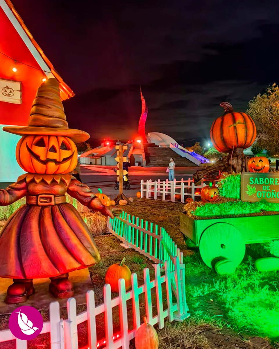 🎃 ¡El otoño se vive hoy en Parque Guanajuato Bicentenario! 🍂

Ven este viernes 17 de octubre y disfruta el Festival de Calabazas, lleno de color, diversión y momentos para toda la familia. Además una función especial de nuestro cine al aire libre.