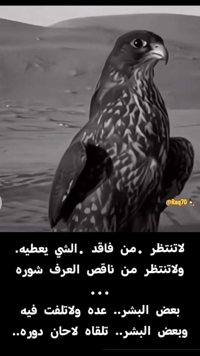 ابو محمد (@abomohamedx765) on Twitter photo 