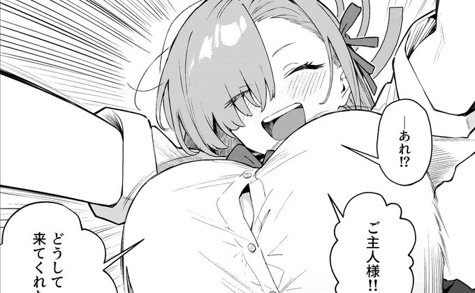 🇨🇭プロフリンクの支援サイトでC107新刊予定のアスナ本の冒頭5Pを先行公開しました 