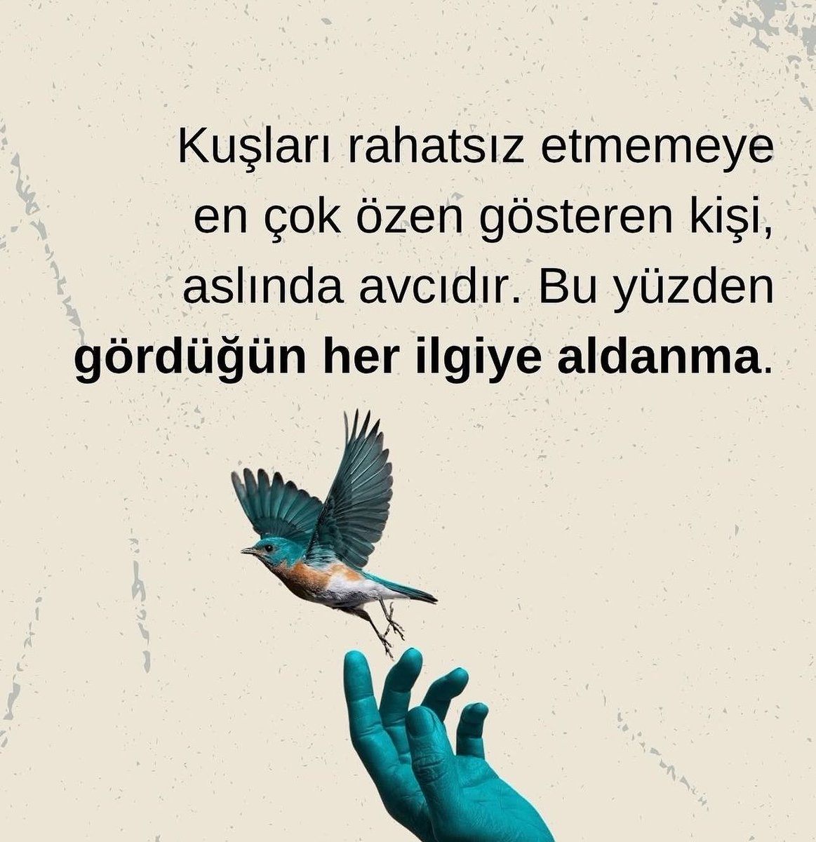 Ela Su Demir💧 (@mavisudunyam) on Twitter photo 