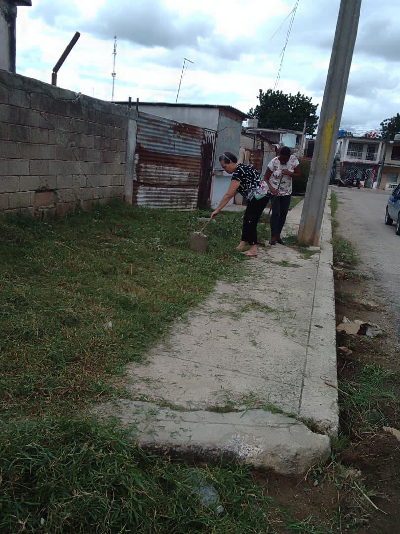 Hoy los jueces y trabajadores del Tribunal Provincial Popular de Mayabeque, participamos activamente en la limpieza, higienizacion y embellecimiento de nuestras áreas exteriores. Fue una jornada productiva en la que se demostró una vez más que juntos somos más.#NiUnPasoAtras