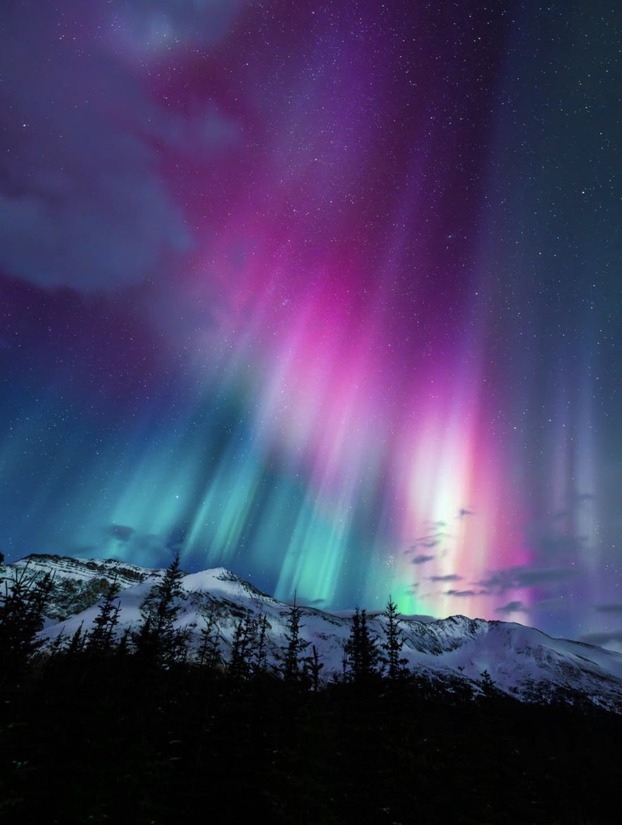 Alberta, Canada ✨