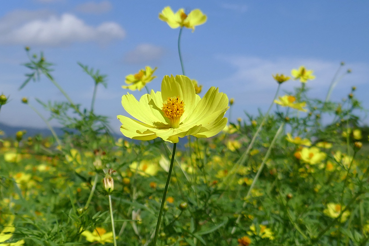 かめちゃん on X: 