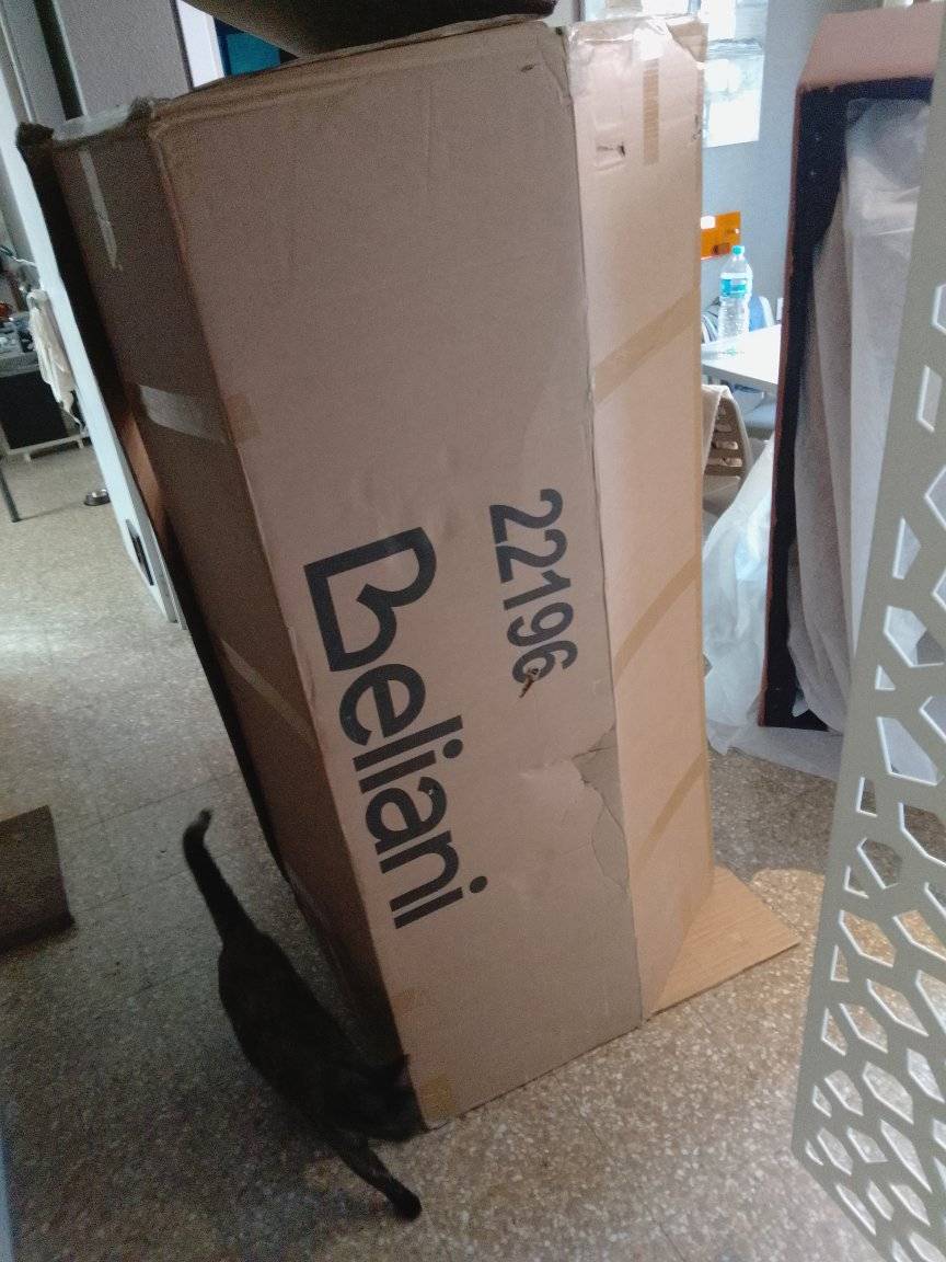 ricardoback tweet media