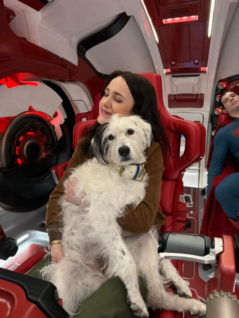 clarkcorensweet's tweet photo. thread of David with dogs https://t.co/6WgxF9sVR3