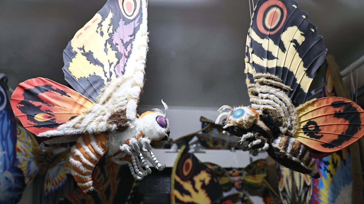 MOTHRA_WORLD (@mothra1224) on Twitter photo 