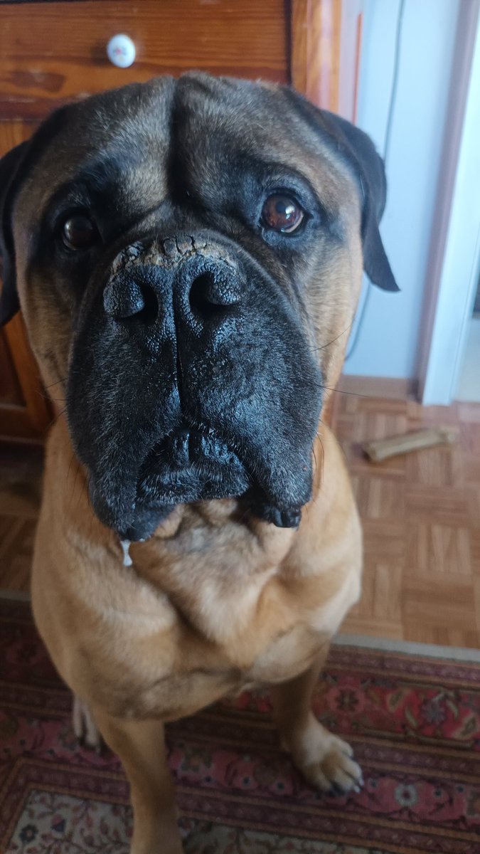 Wünsche allen einen schönen Freitag Abend. 
Liebe Grüße von Dickerchen. Er fühlt sich wohl in seinem neuen Gartendomizil von 2700qm