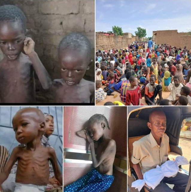 لا بواكى لهم

اكتبوا عنهم.
#الفاشر_تموت_جوعاً