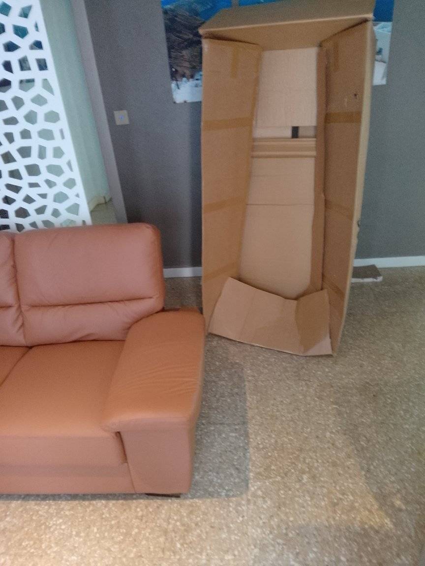 ricardoback tweet media