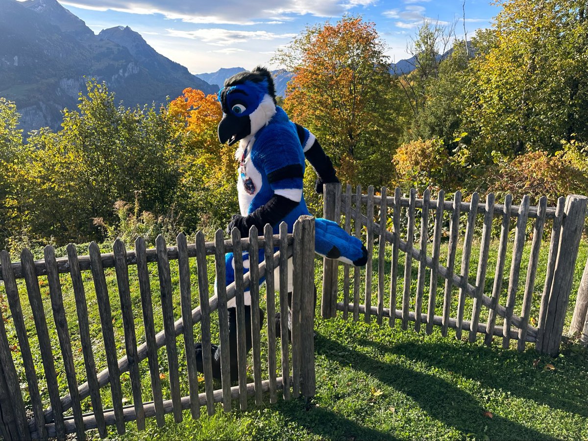 No gate can stop
me muhaha! #FursuitFriday
