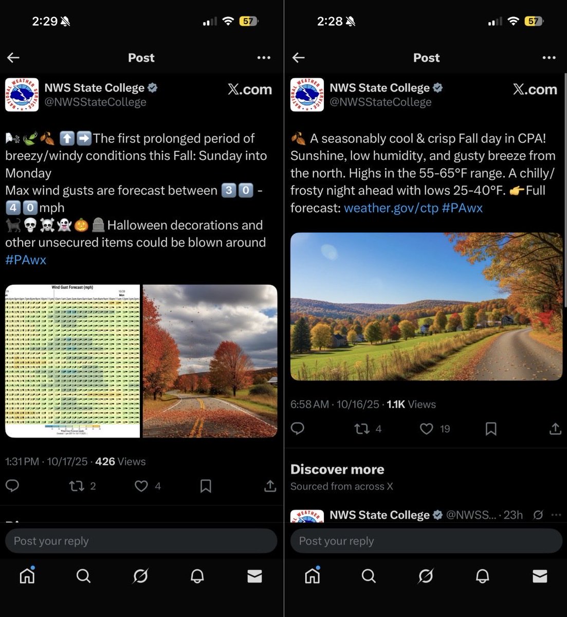 sambrandt99's tweet image. These images look off to me. Not saying they’re definitely AI, but I’m awfully suspicious. If they are AI, then why? There are plenty of local photography enthusiasts who would be happy to have their real foliage images shared (myself included)