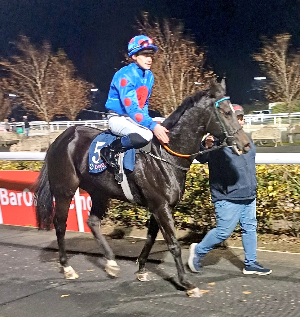 Drafted and <a href="/lukemcateer123/">lukemcateer</a> <a href="/DundalkStadium/">Dundalk Stadium</a>