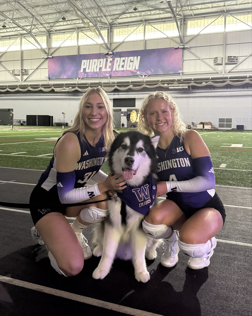 B1G <a href="/UWVolleyball/">Washington Volleyball</a> weekend on deck and <a href="/DubsUW/">Dubs</a> wants YOU there 🐾

#GoHuskies