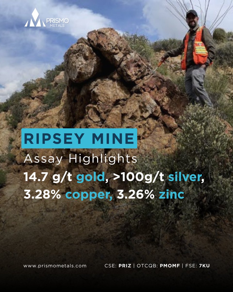 ASSAYS ARE IN from the Ripsey Mine, and they are "quite spectacular". 

Highlights include:
- 14.7 g/t Au, >100 g/t Ag, 3.28% Cu
- 14.6 g/t Au from the Main Shaft area

A great start for a project with no modern exploration.
🔗 loom.ly/werF-rM

$PRIZ #Gold #mintwit