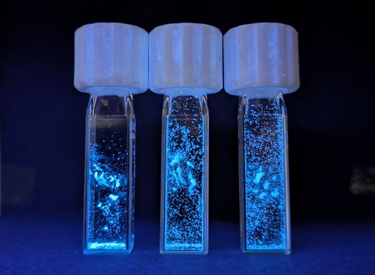 Resembles a night sky.✨ The photo shows three AIEgens from our latest publication under UV light.
#FluorescenceFriday 
doi.org/10.1039/D5CC04…