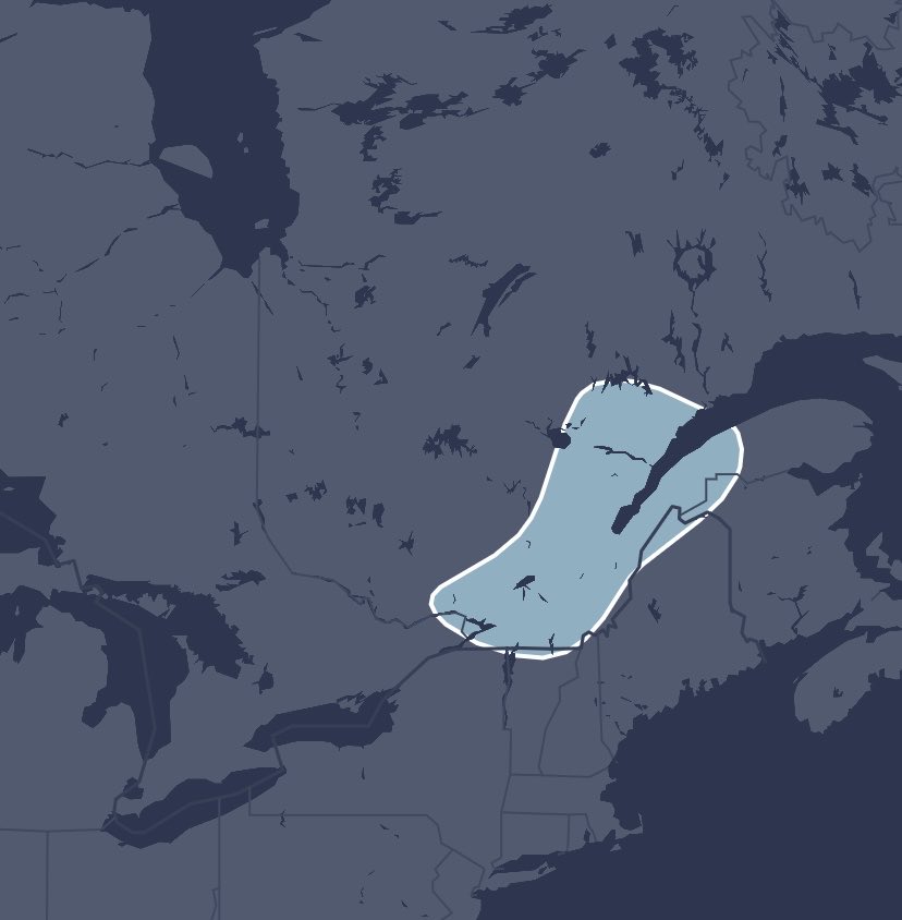 Evyn Ciampa🍁 tweet media