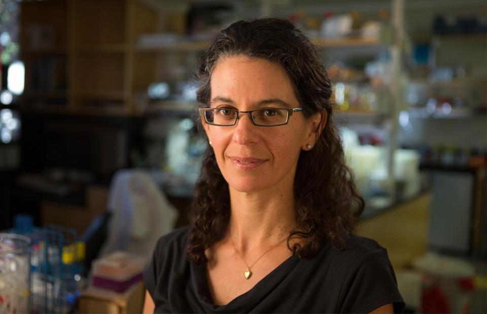 ExtracellMatrix's tweet image. Drs. Georgia Squyres and Dianne Newman at @Caltech reveal how the architecture of extracellular DNA in the biofilm matrix is controlled by single-cell lysis during Pseudomonas aeruginosa biofilm development.
@PNASNews | bit.ly/4n7Enve