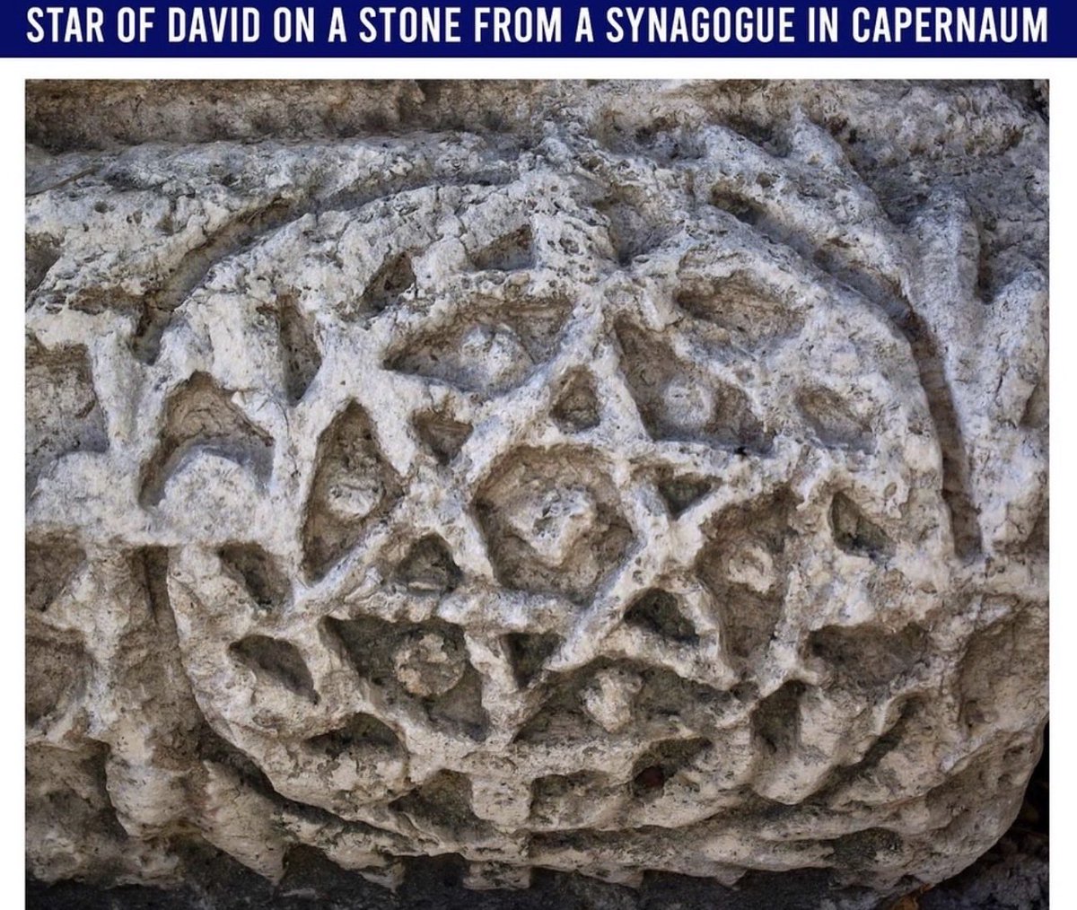 Joe Shakour tweet media