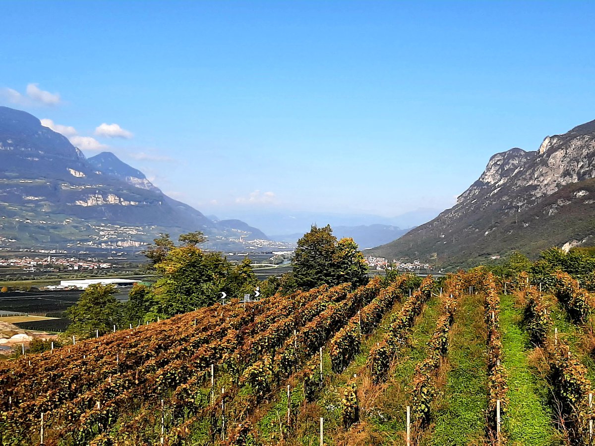 Michael Collins (@7mikecollins6) on Twitter photo Just home from a super trip to Alto Adige with <a href="/Blinderswine/">MonthlyBlinders Wine</a> Some great winery visits and many lovely wines tasted (and drunk) What a beautiful place! Just home from a super trip to Alto Adige with <a href="/Blinderswine/">MonthlyBlinders Wine</a> Some great winery visits and many lovely wines tasted (and drunk) What a beautiful place!