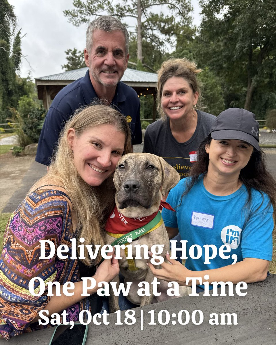 🚨 Reminder! Tomorrow is our Pawsitivity Partnership pet food delivery with <a href="/lifelineanimal/">LifeLine Animal Project</a> + <a href="/OpenHandAtlanta/">Open Hand Atlanta</a>.

📅 Saturday, Oct 18 | ⏰ 10:00 am | 📍 Open Hand, 1380 W Marietta St NW

Join us to help families keep pets at home where they belong. Breakfast + tour included!