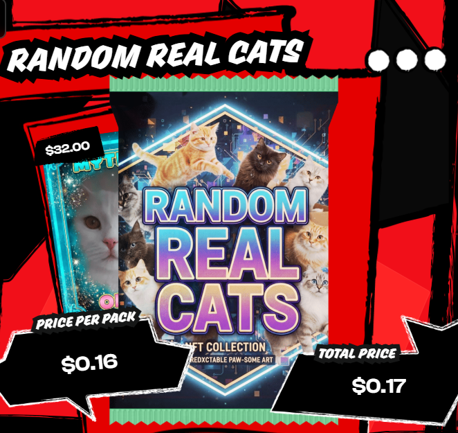 randomrealcats's tweet photo. Daily Airdrop #2 
Every day, 10 random users active on VibeChain win Random Real Cats packs. 
Here are the winners of Day 2! 
👇#vibechain #vibedotmarket #Farcaster https://t.co/jbGdnJ8Z6R