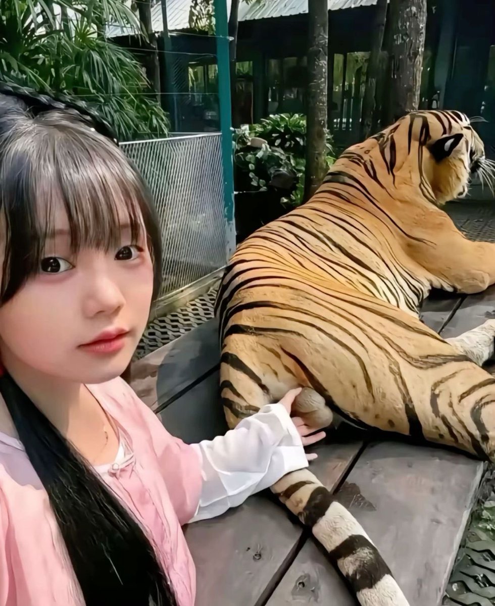 the tiger