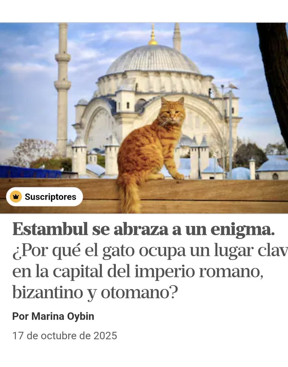 marina oybin tweet media