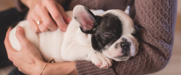 Packaged Facts tweet media