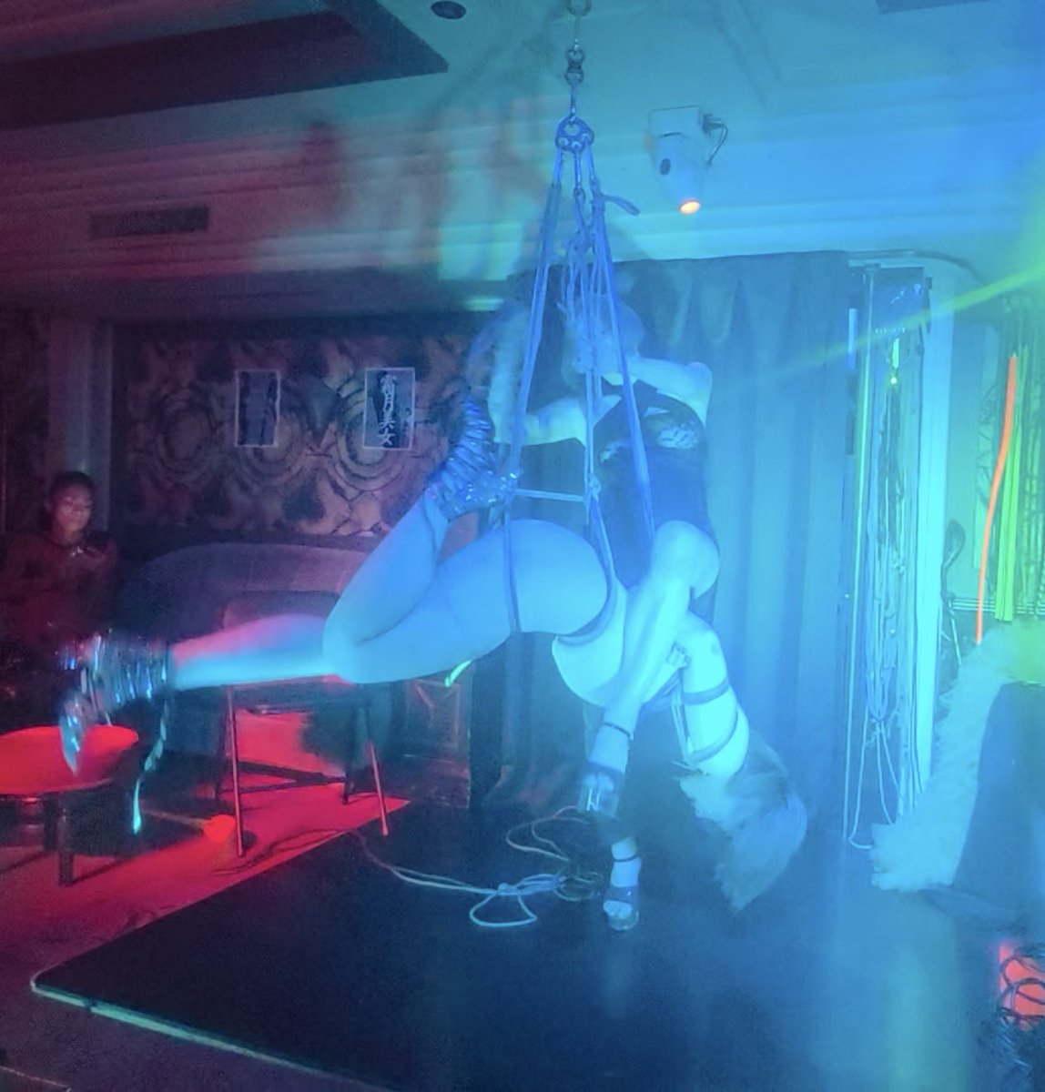 今日はショーした後にたっぷり一本鞭三昧からのチャリで少し遠回りして帰ったから運動量が上がった良い1日であった。ベルとおはつに感謝。