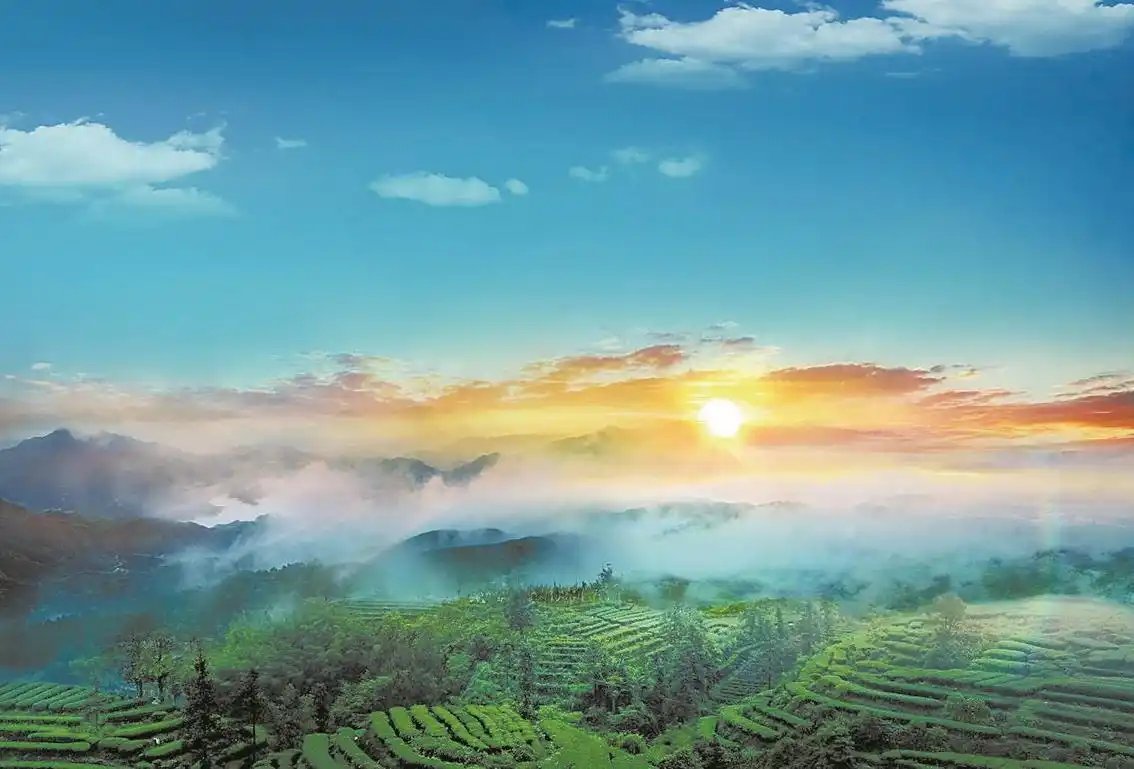 10月17日下午，广东省农文旅融合发展工作专题会在江门召开。