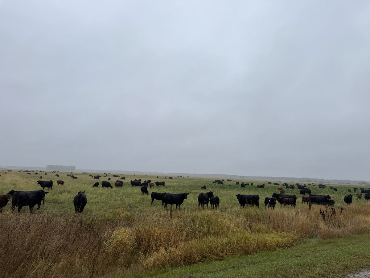 Brad Hockridge tweet media