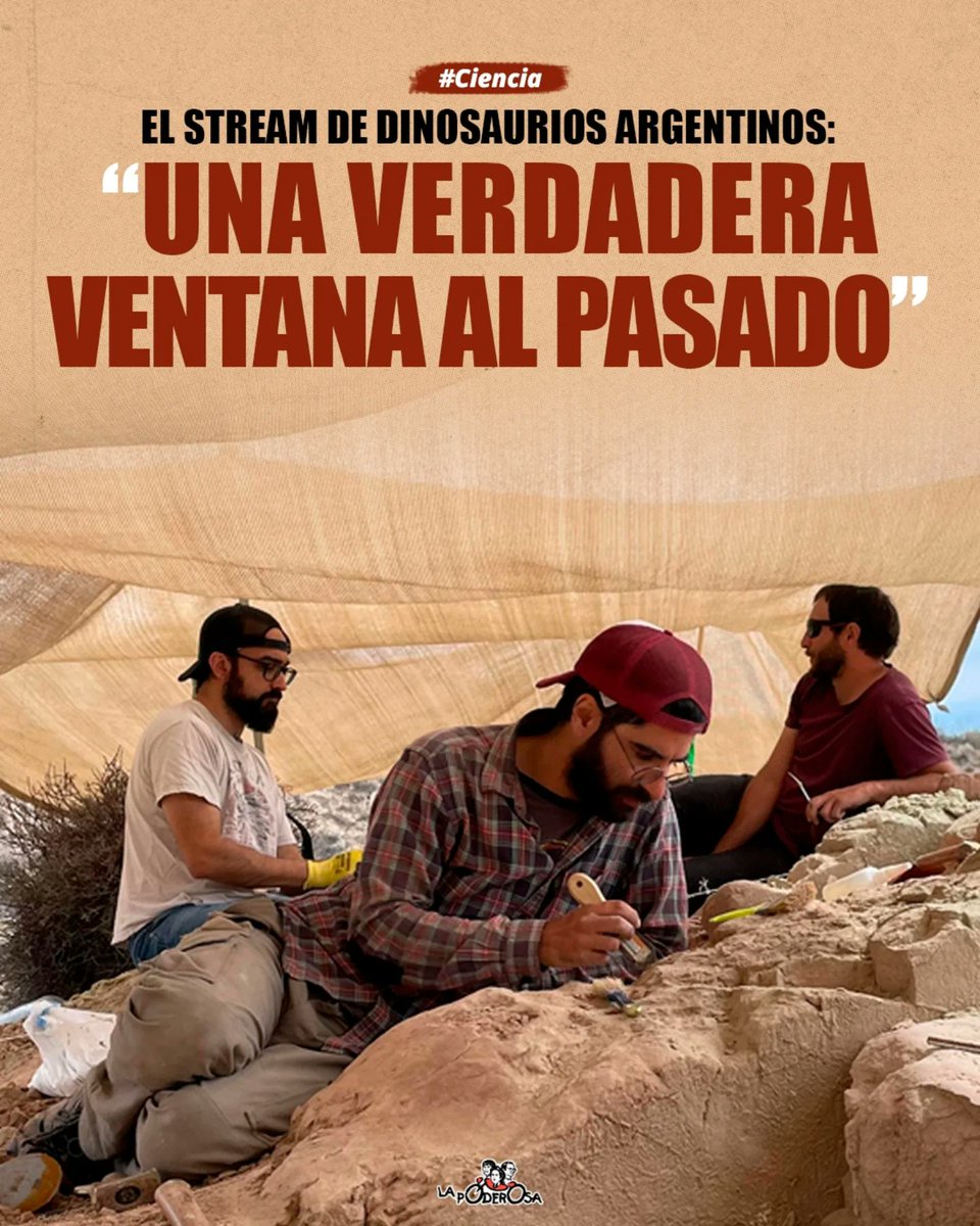 ¿Qué nos dejó el stream del Conicet? Entre los descubrimientos más importantes se hallan huevos, restos de mamíferos antiquísimos y una nueva especie de dinosaurio herbívoro que luego de un largo estudio deberá ser bautizado ante el mundo. (+)