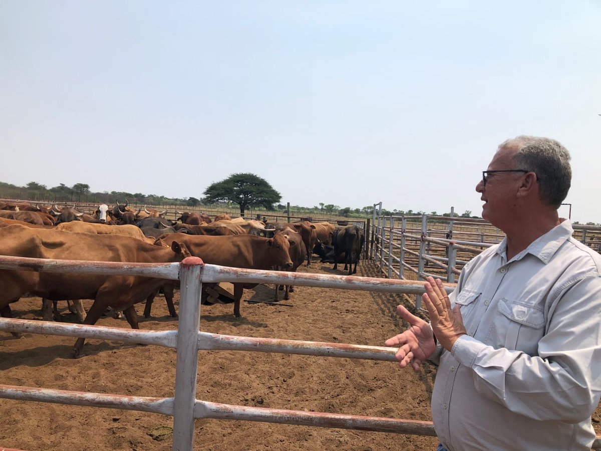 Meatco Namibia tweet media