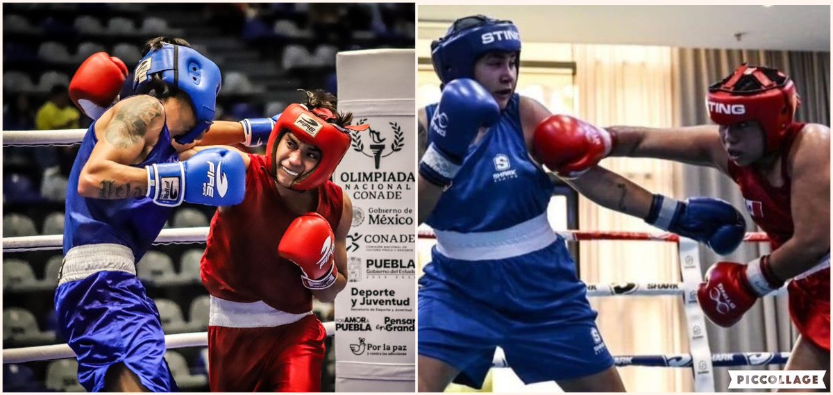 #Deportes .................. Pugilistas sonorenses logran medallas en torneo Internacional BOXAM en España ..................... vía descierto.com ...................... descierto.com/deportes/item/… <a href="/gobiernosonora/">Gobierno del Estado de Sonora</a>