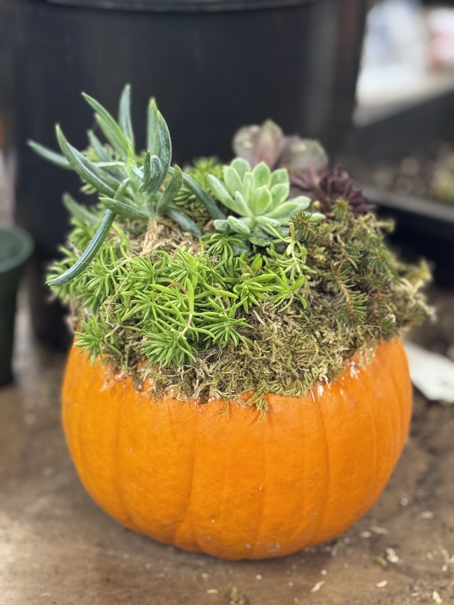 Anderson Institute of Technology tweet media