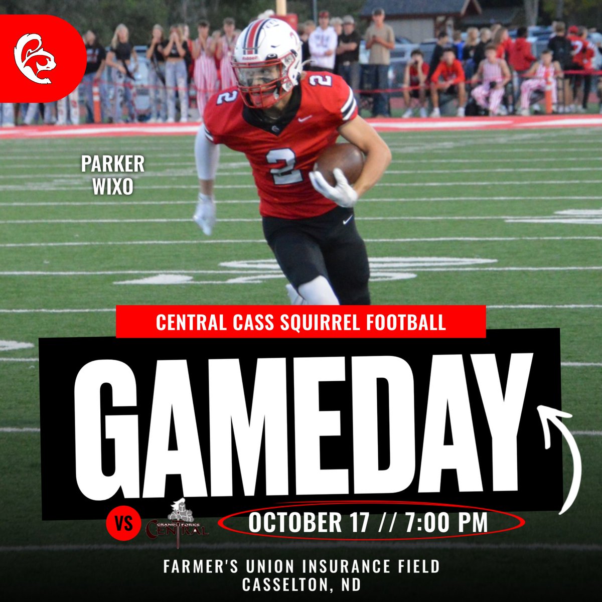 Squirrel Football tweet media