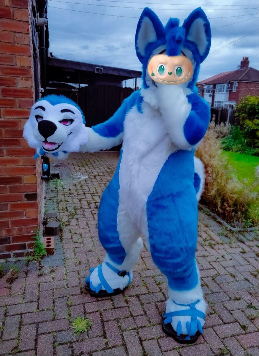 I do love how this suit Head looks and what you can do, be it 

Contenplating 
Nerd/Dork
Bad Dog
Or
Faceless 

So much you can do thanks again 🪡- <a href="/JawsNpawsUK/">JawsandPaws_UK</a>
#FursuitFriday