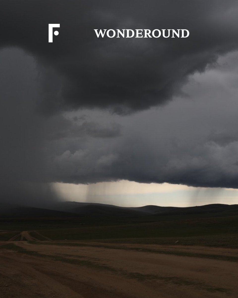 FOCUS Art Fair tweet media